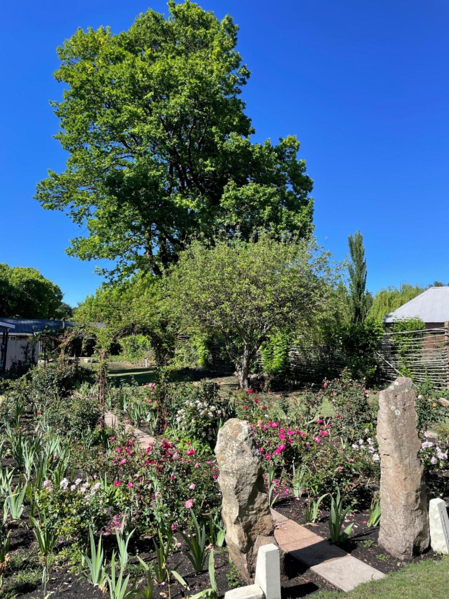 Periwinkle, Grove ,Acorn & Sage Cottages Clarens Zewnętrze zdjęcie