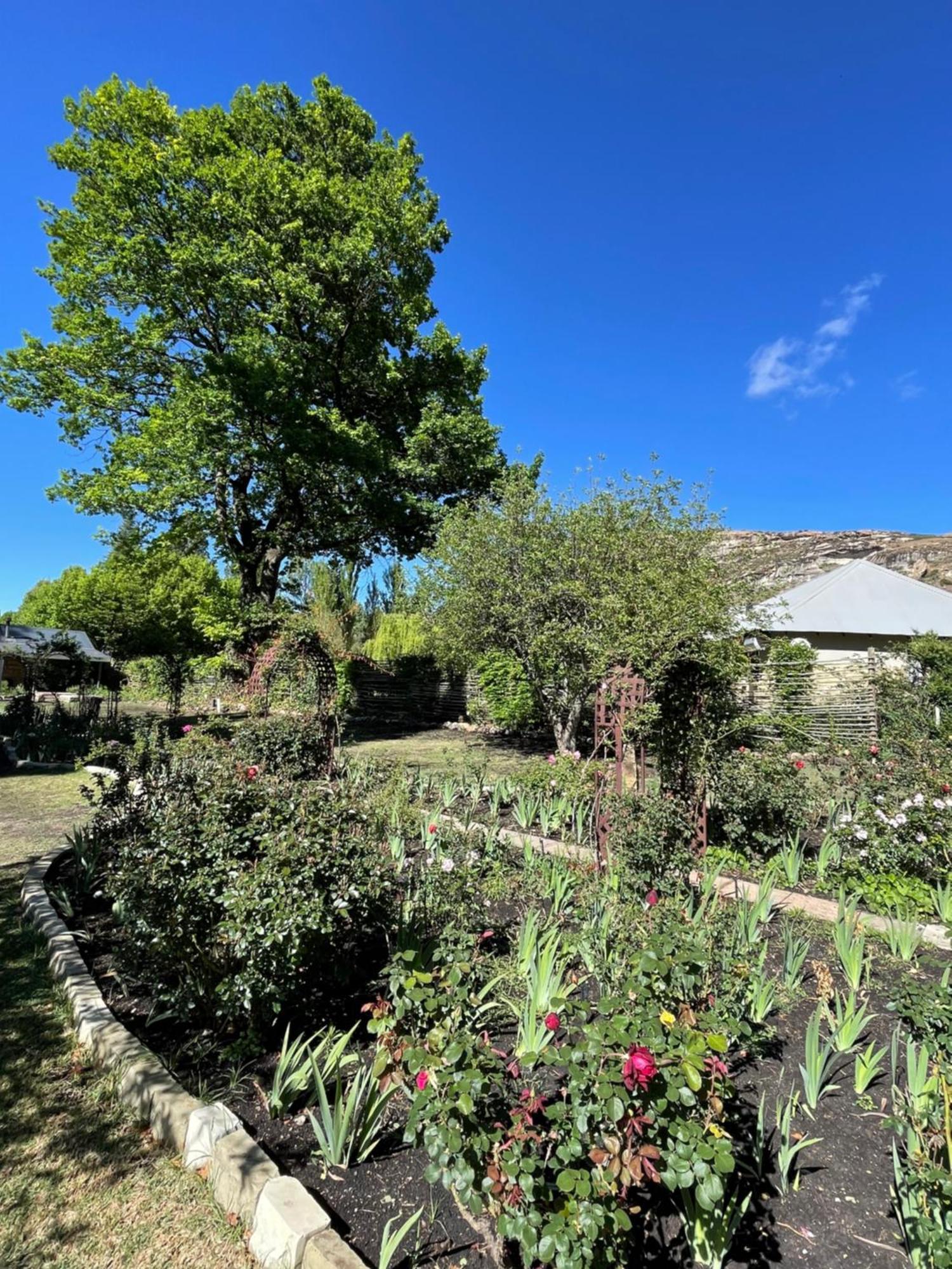 Periwinkle, Grove ,Acorn & Sage Cottages Clarens Zewnętrze zdjęcie