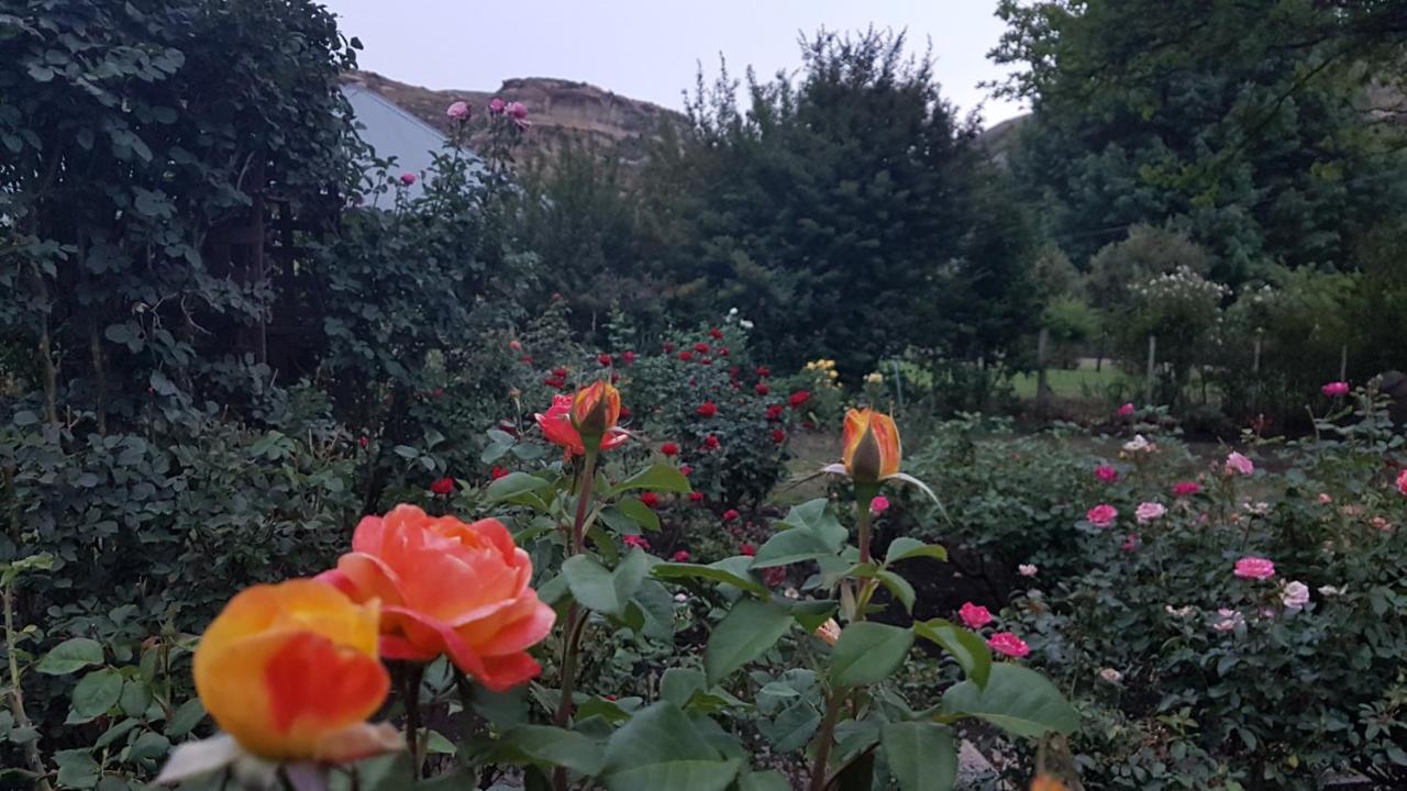Periwinkle, Grove ,Acorn & Sage Cottages Clarens Zewnętrze zdjęcie